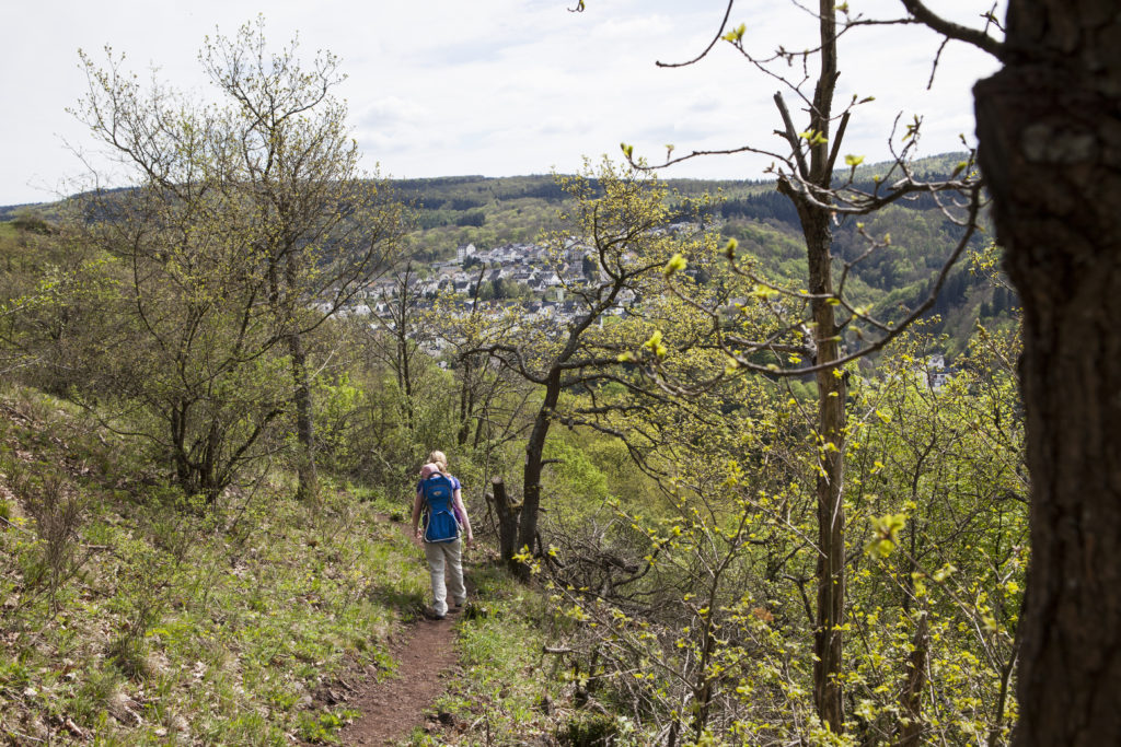 Rund um Idar-Oberstein offenbart sich ein Wanderparadies © Eike Dubois