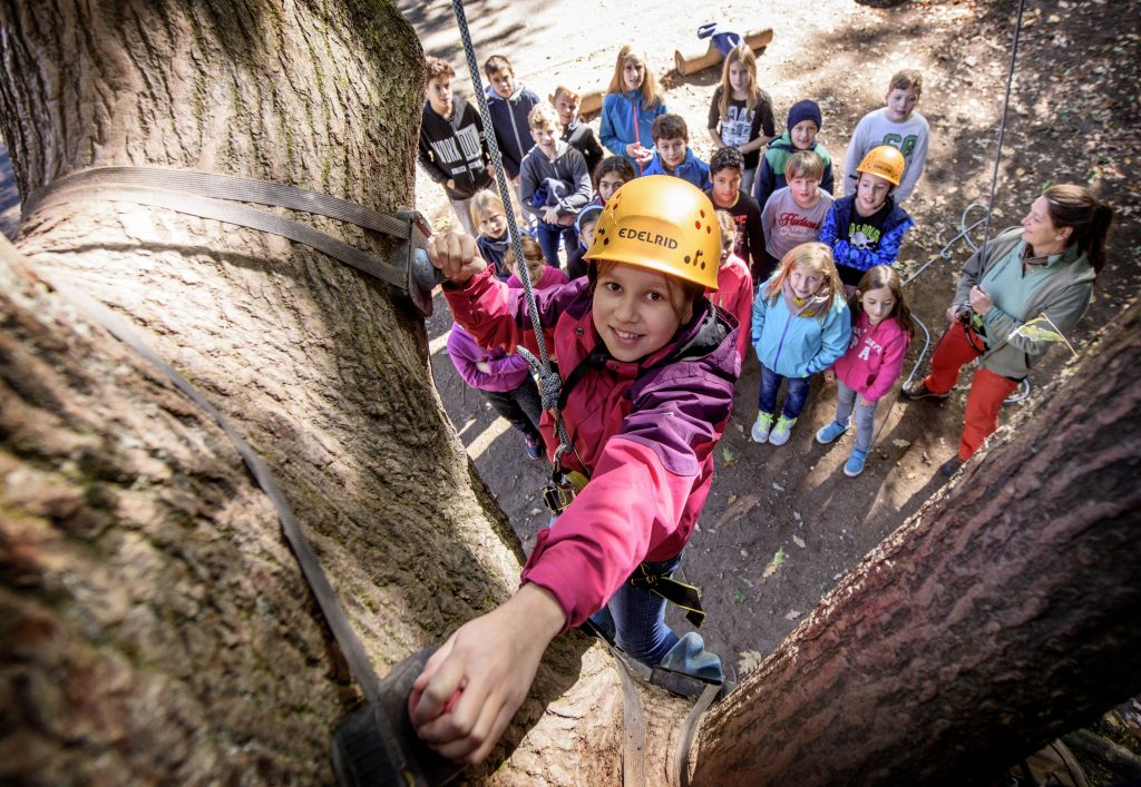 Mädchen klettert auf einen Baum. Die Schulklasse schaut von unten zu.