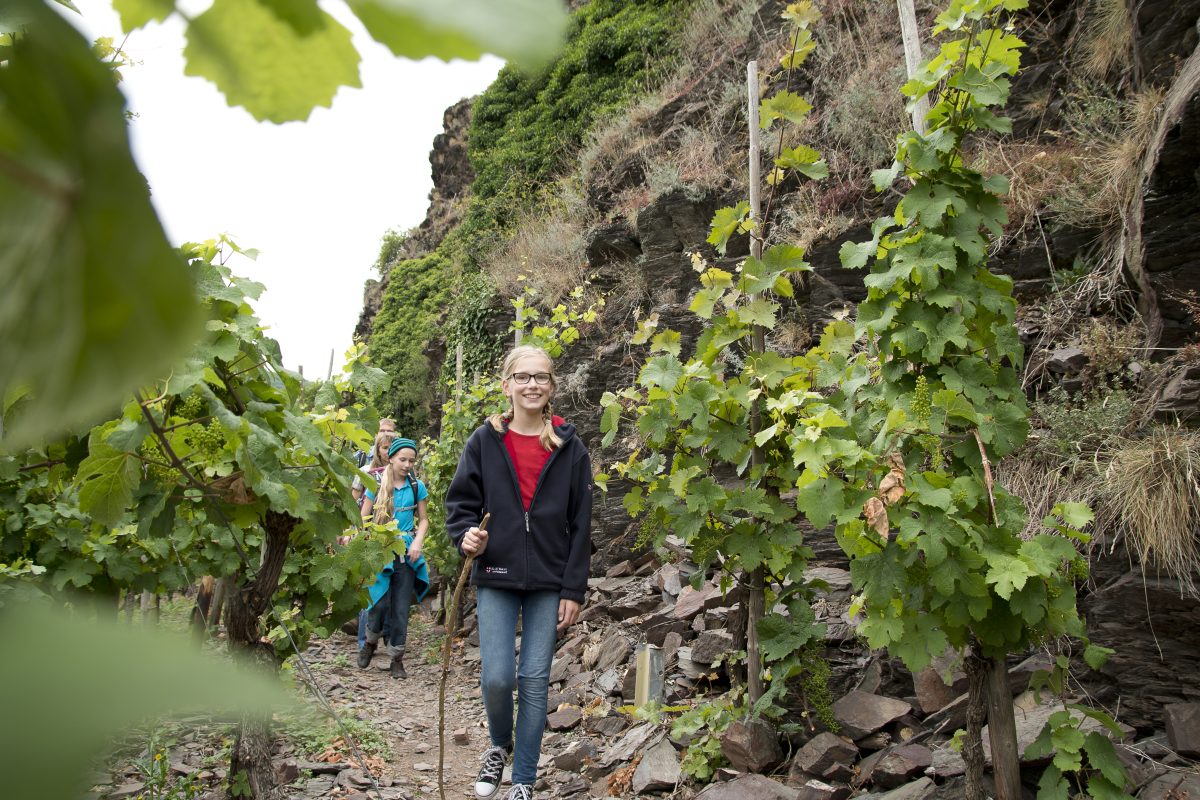 Eine Familie wandert durch die Weinberge