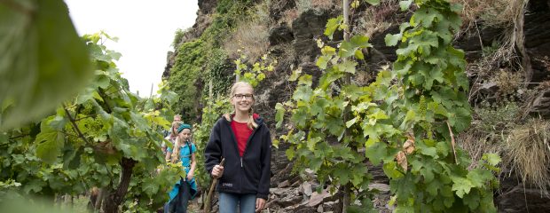 Eine Familie wandert durch die Weinberge