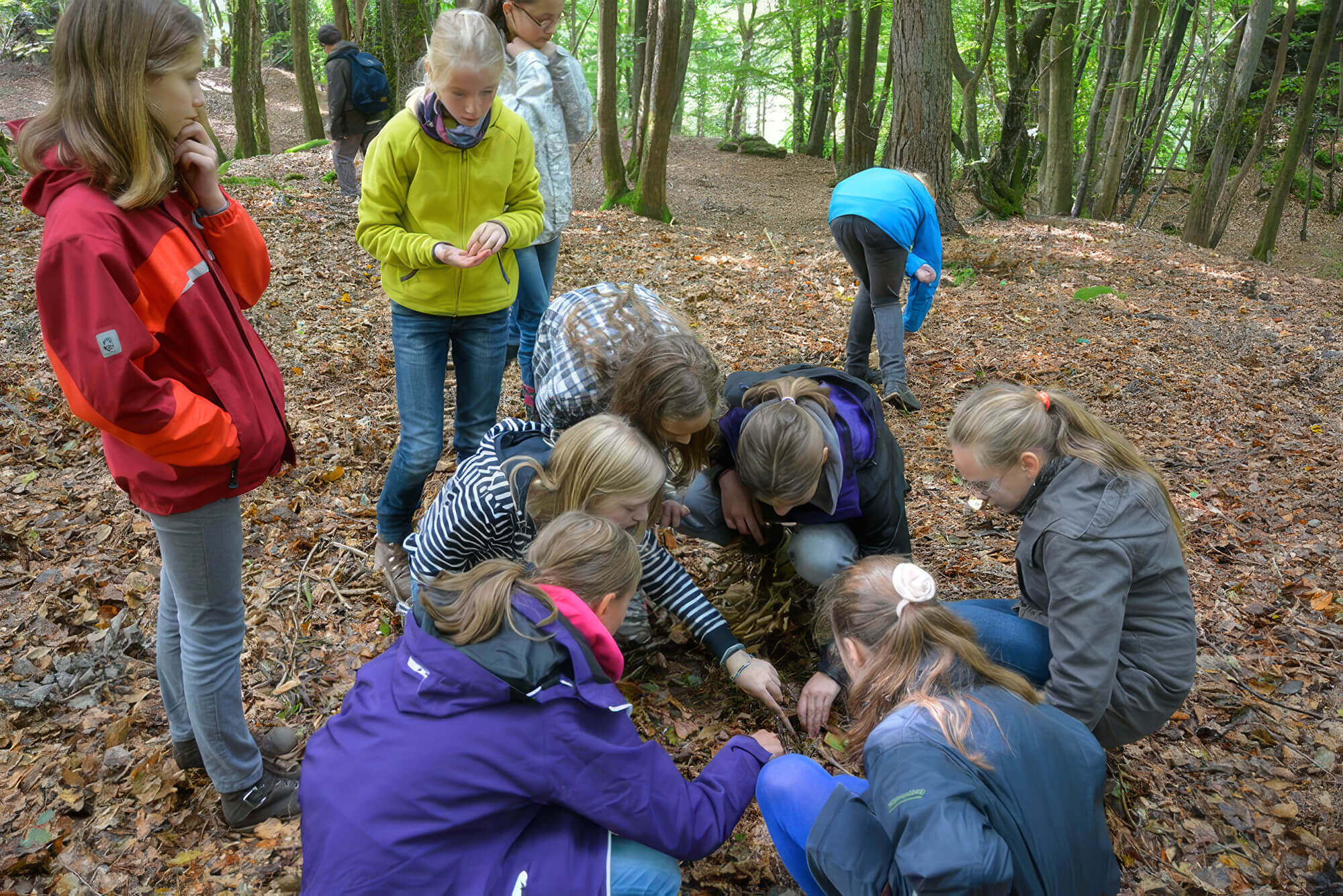 Schülergruppe bei einer Wald-Exkursion im Rahmen eines Programms für Klassenfahrten in der Jugendherberge.