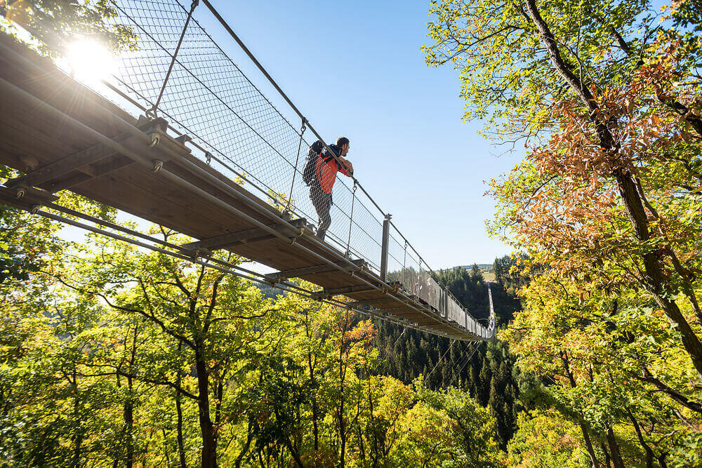 Hängeseilbrücke Geierlay in Mörsdorf